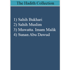 The Hadith Collection icône