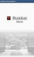 Aikido ALL โปสเตอร์