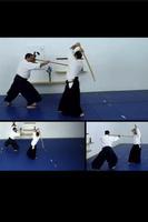 Aikido Weapons Free 截圖 1