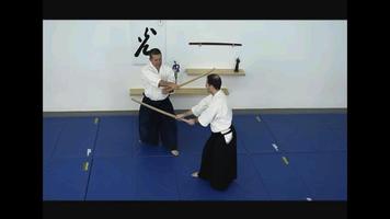 برنامه‌نما Aikido Weapons Free عکس از صفحه