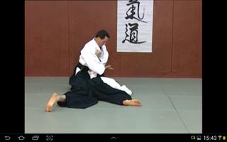 Christian Tissier Aikido تصوير الشاشة 3