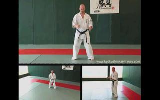 Kyokushin - Hand Techniques capture d'écran 3