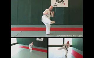 Kyokushin - Leg Techniques capture d'écran 3