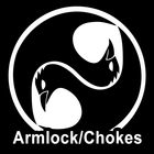 Ninjutsu Armlocks and Chokes icône