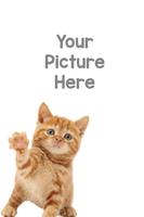 Cat Photo Frame Affiche
