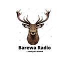 Barewa Radio APK