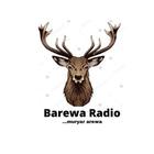 آیکون‌ Barewa Radio