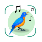 Bird Sound Identifier Bird ID أيقونة
