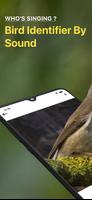 Bird Sound Identifier Bird ID gönderen