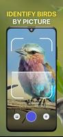 Bird Identification by Sounds capture d'écran 2