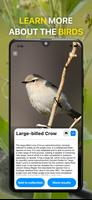 Bird Identification by Sounds capture d'écran 3