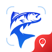 Fish ID by Picture