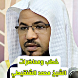 خطب ومحاضرات محمد الشنقيطي