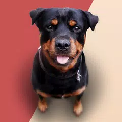 Barking Dog Sounds Ringtones APK 下載