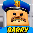 Barry Prison icône