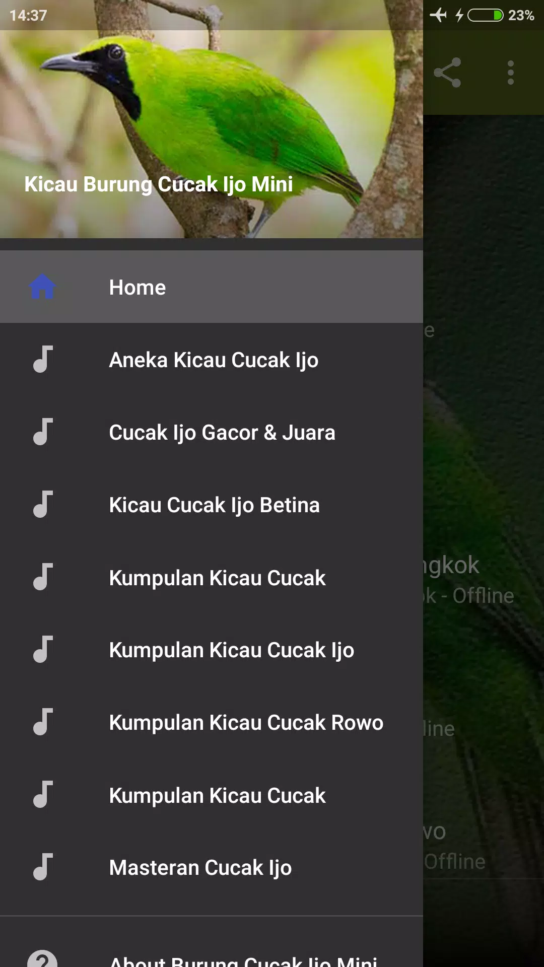 Suara Burung Cucak Ijo Mini Mp3 for Android - APK Download