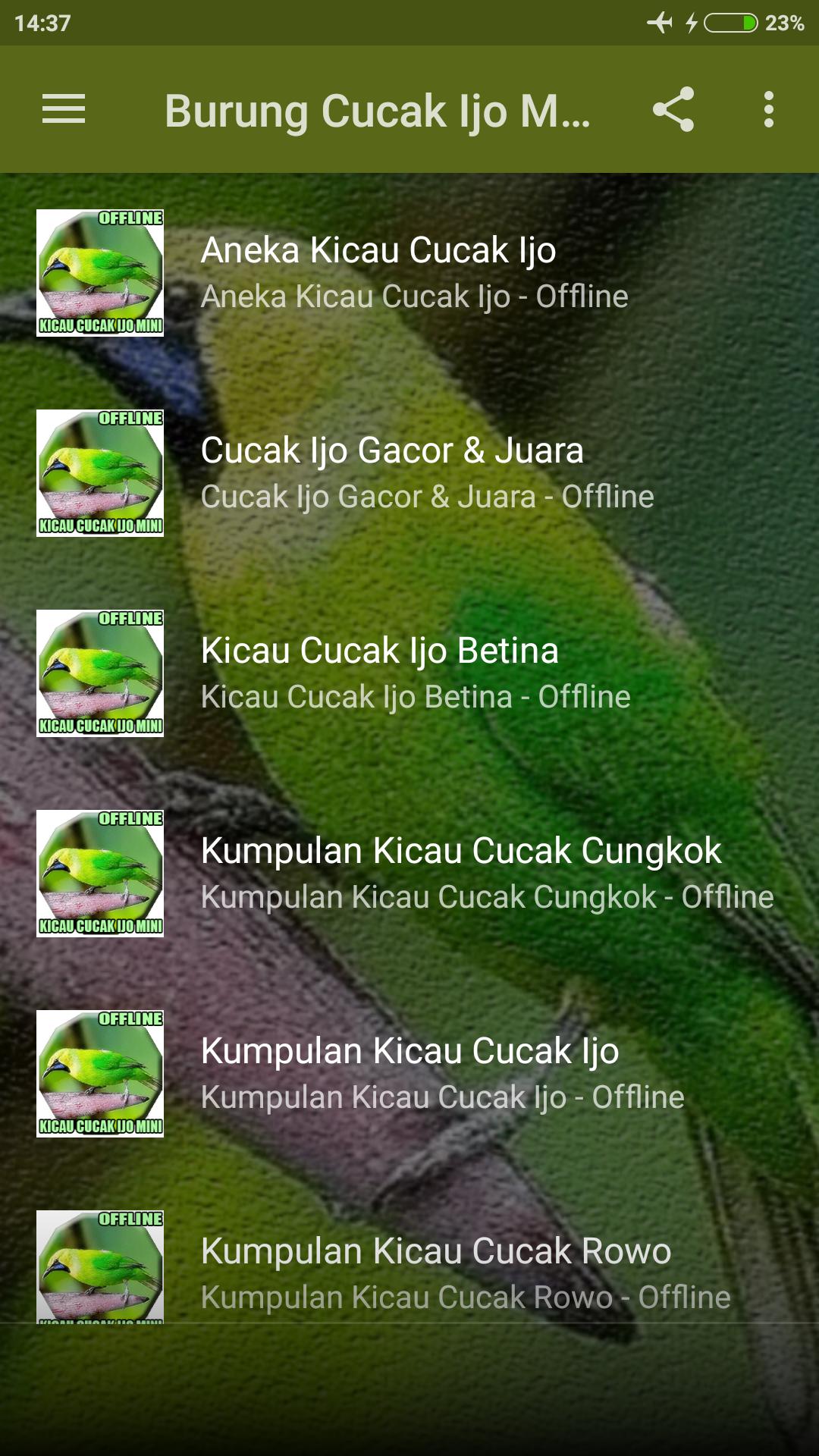 Suara Burung Cucak Ijo Mini Mp3 For Android Apk Download