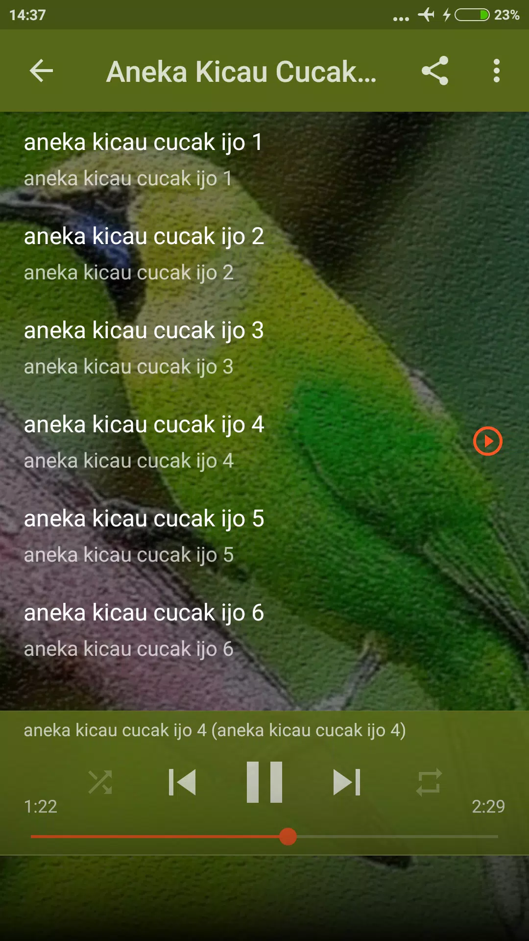 Suara Burung Cucak Ijo Mini APK for Android Download