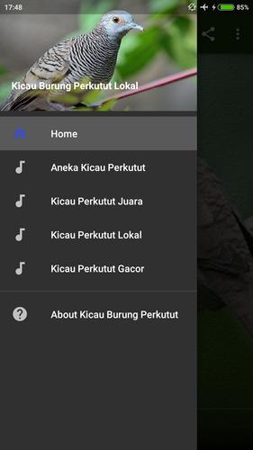 Kicau Burung Perkutut Lokal For Android Apk Download Untuk melihat detail lagu perkutut lokal juara 1 klik salah satu judul yang cocok, kemudian untuk. kicau burung perkutut lokal for android