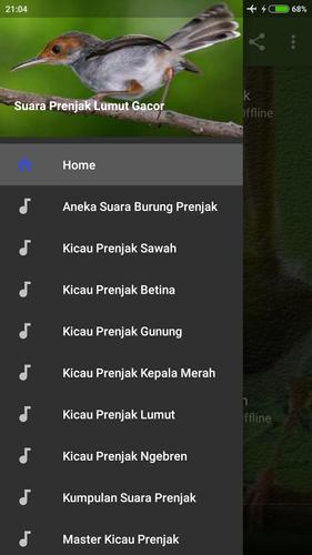 Suara Prenjak Lumut Gacor For Android Apk Download