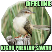 Suara Pikat Prenjak Sawah Ampuh For Android Apk Download