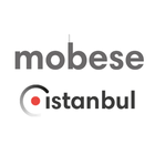 Istanbul Canlı Mobese Kameraları icon