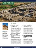 Biblical Archaeology Review 스크린샷 2