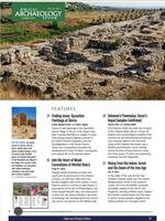 Biblical Archaeology Review 截圖 3