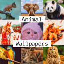 Animal Wallpaper 4k HD APK