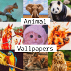 Animal Wallpaper 4k HD icon