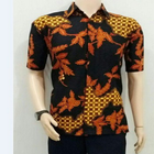 Indonesische batik-icoon