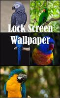 Papagei Wallpaper Lock Bildschirm Plakat