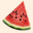 Good Melon, Bad Melon aplikacja