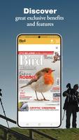 Bird Watching screenshot 3