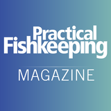 Practical Fishkeeping Magazine aplikacja