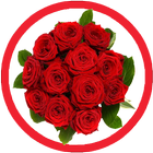 Roses Stickers For Whatsapp - WAStickerApps ikon