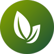 Acceleron