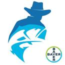 Bayer Big Fish Challenge APK