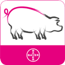 BCS SowDition APK