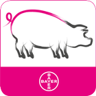 BCS SowDition icon