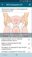 BCS SowDition скриншот 2