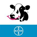 Phần mềm BCS Cowdition APK
