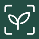 APK MagicScout
