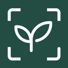 MagicScout أيقونة