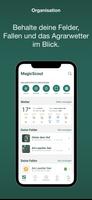 MagicScout Plakat