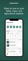 MagicScout الملصق