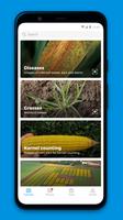FieldCatcher Plakat