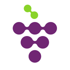 GrapeVision آئیکن
