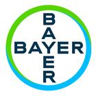 Bayer C&G ícone