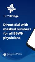 BSWBridge poster